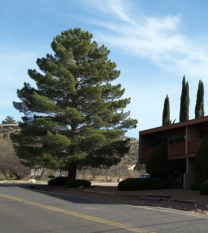 Beaver Creek Inn Lake Montezuma Exterior photo